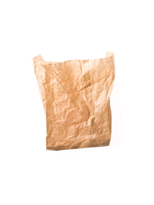 Euro Bags: Brown Paper Bag, 2009