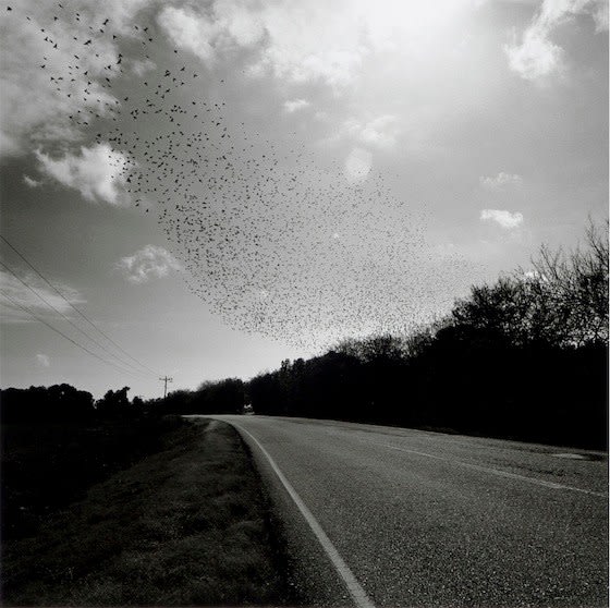 Highway 82: From Abbeville to Intracoastal City, Louisiana