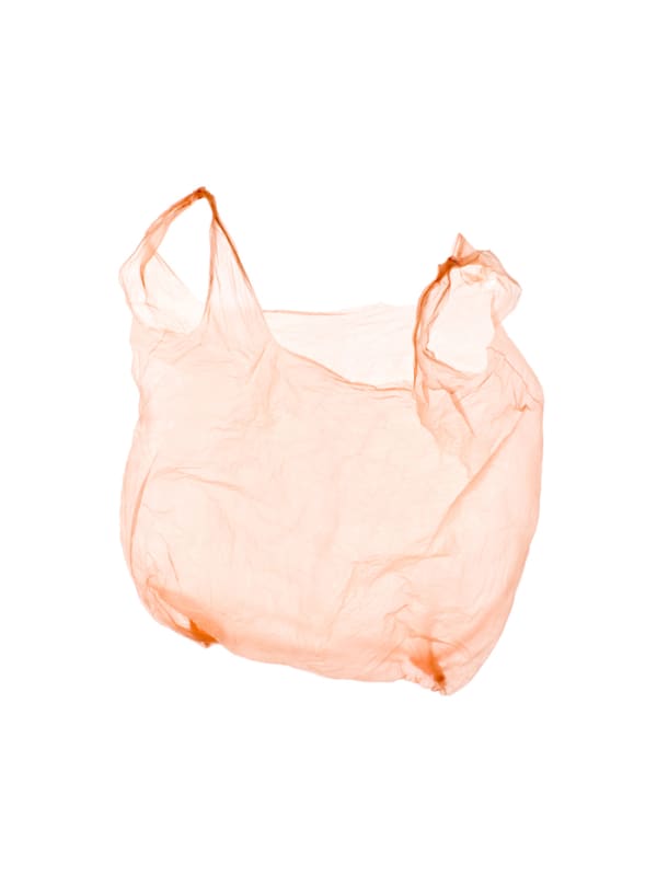 Euro Bags: Orange Light, 2009