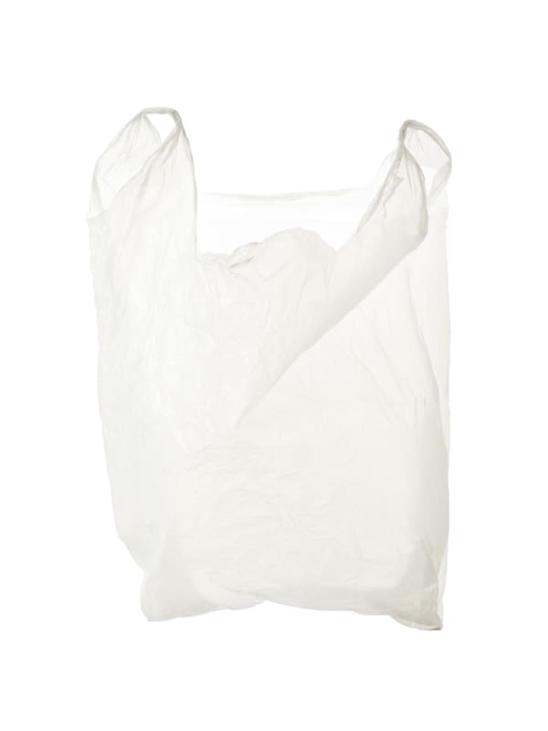 Euro Bags: White Tall, 2009