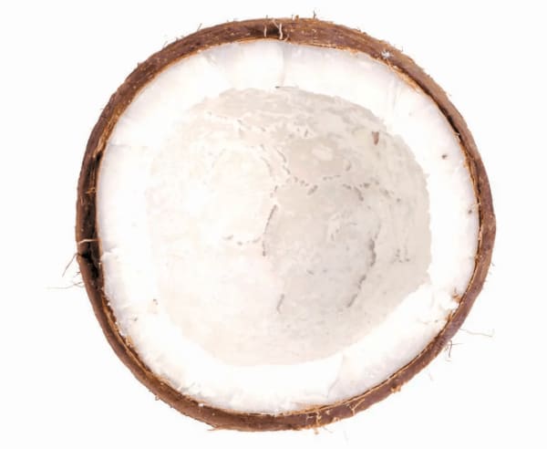 Coconut 1997