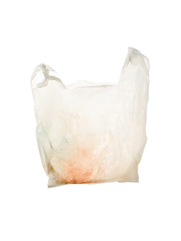 Euro Bags: Stained White, 2009