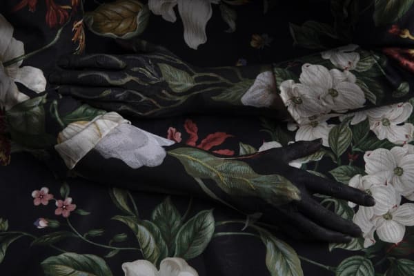 Magnolia Stories