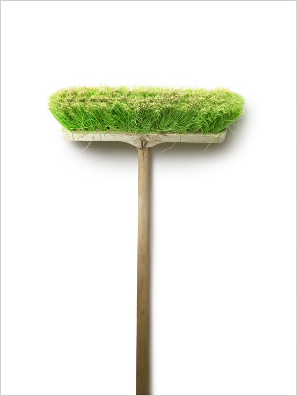 Brooms: Green Pushbroom, 2007