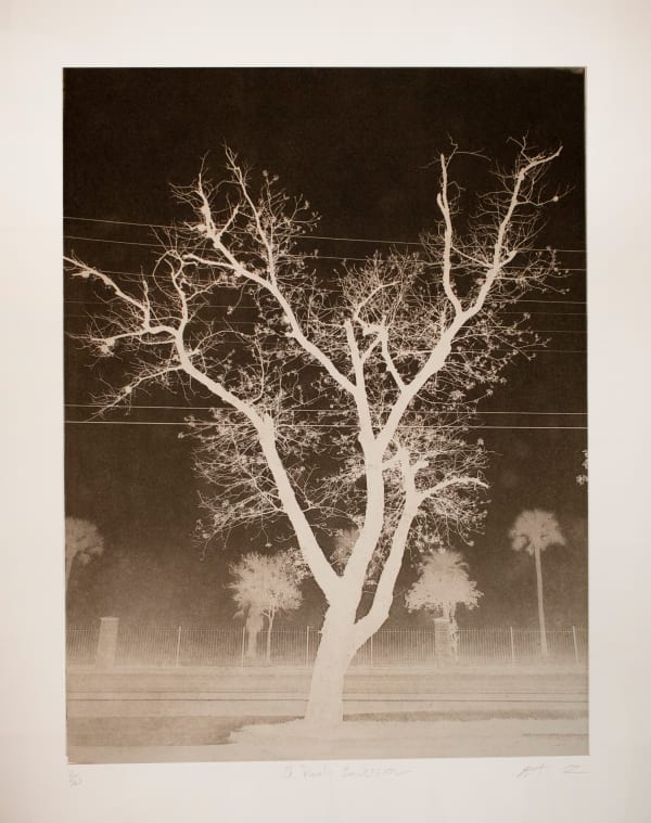 Nate Cassie St. Paul's Inversion, 2023 Photopolymer photogravure 19 x 15 in 48.3 x 38.1 cm Edition of 10