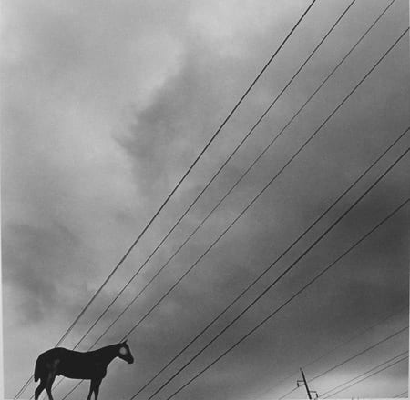 Graciela Iturbide Caballito para Gerszo Lafayette, Louisiana, 1997 Silver Gelatin Print 14 x 11" 35.6 x 27.9 cm