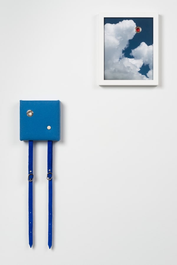 Bluebird Between Here and Not There