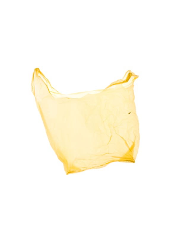 Euro Bags: Yellow with Spot, 2009