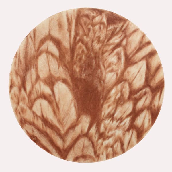 Ashley Perez Preen III, 2023 Iron oxide on paper 12.5 in 31.8 cm