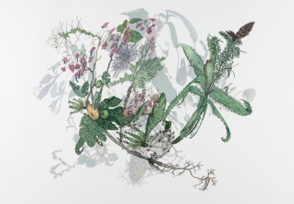 Leigh Anne Lester Mutant Generate, 2014 Graphite and color pencil on drafting film 34 x 42" 86.4 x 106.7 cm