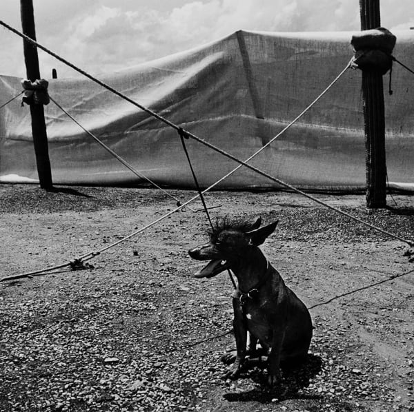 Xolo Jardín Botánico, Oaxaca, México