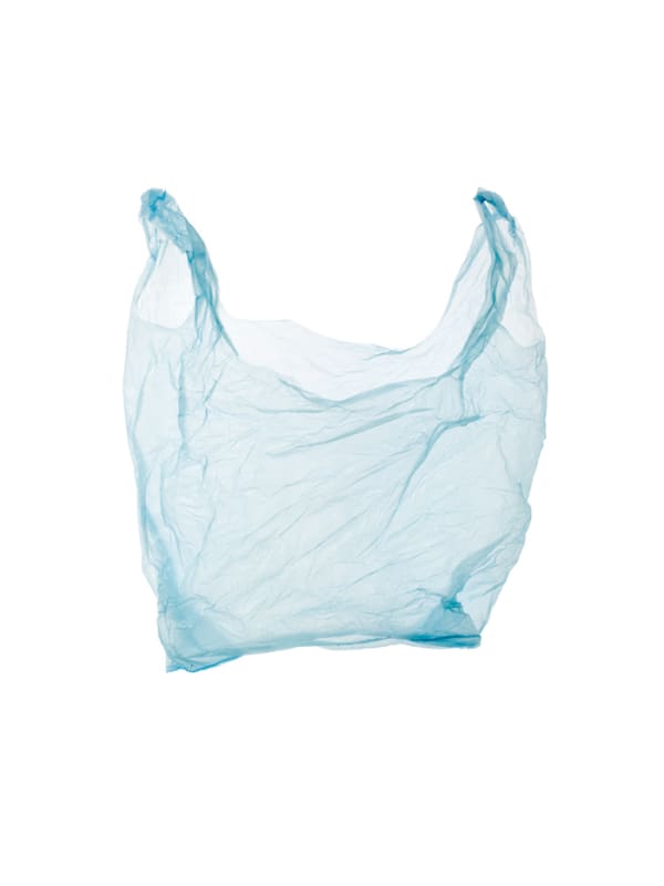 Euro Bags: Blue, 2009