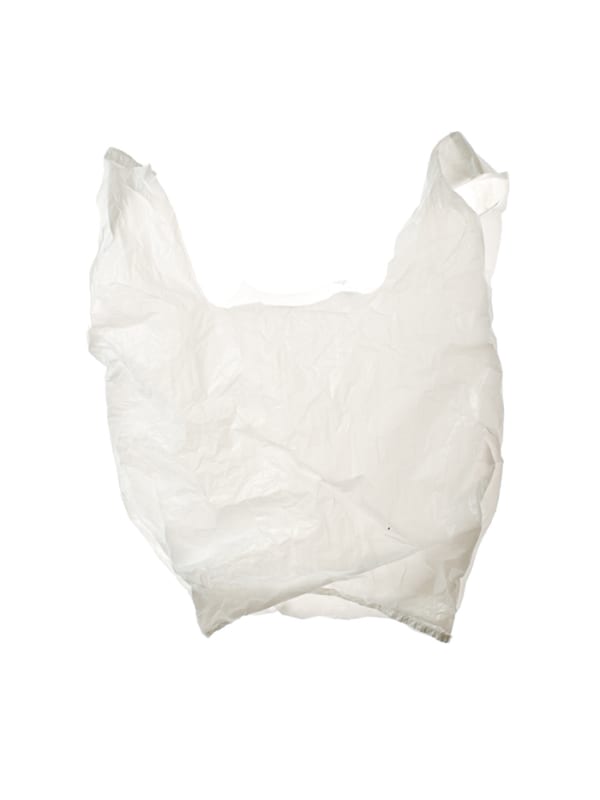 Euro Bags: White Wrinkled, 2009