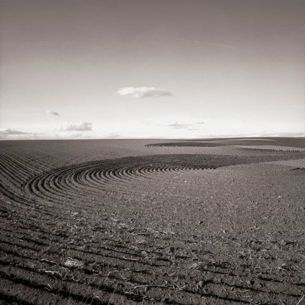 Untitled, Rancho Santa Gertrudis, South Texas