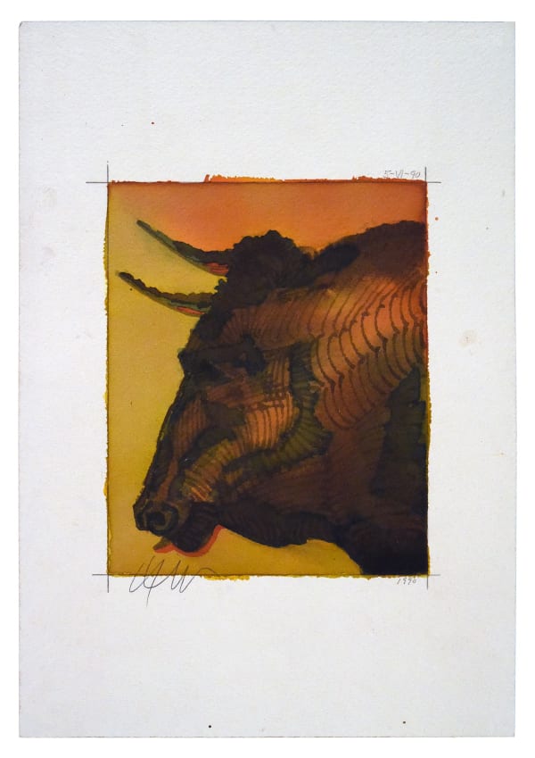 Toro