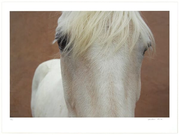 Christopher Makos, Why, 2006