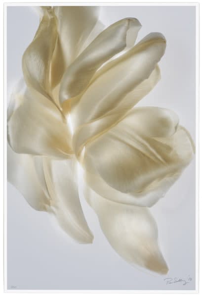 Paul Solberg, Platinum I, 2010