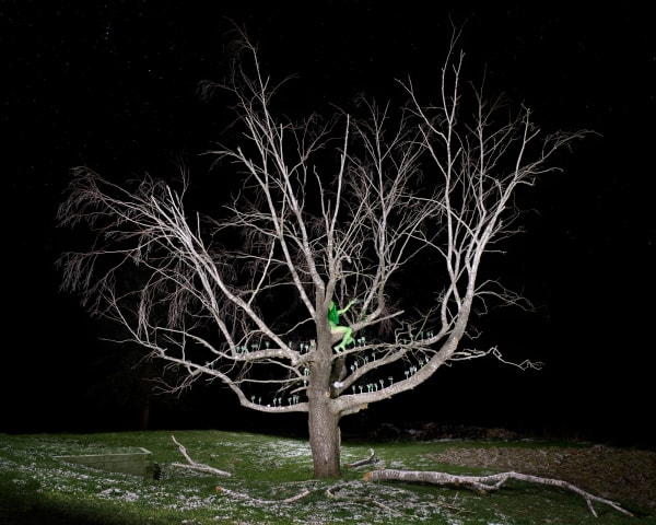 Sage Szkabarnicki-Stuart, Absinthe, 2022