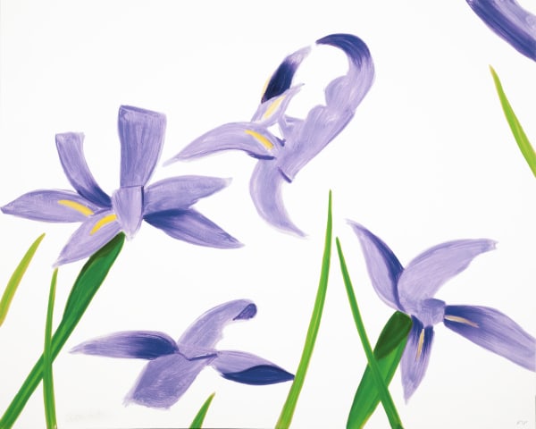 Alex Katz, Purple Irises on White, 2023