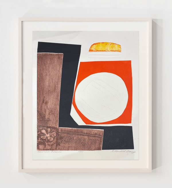 Anne Meredith Barry, Tomorrow’s Flowers, 1981