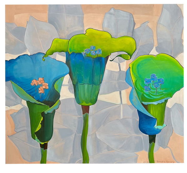 Rosalie Sharp, Tony's Calla Lillies , 2023
