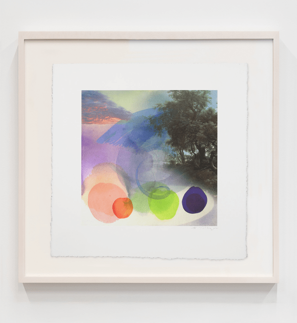 William Tillyer, Hambleton, 2019