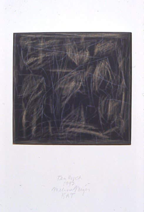 Melissa Meyer, Ten Eyck (Survey Suite II), 1992