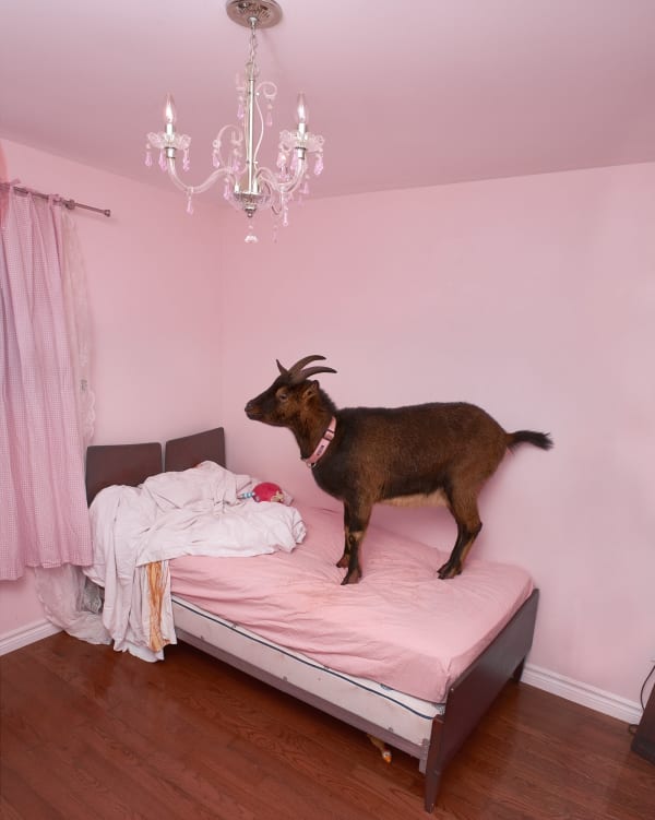 Sage Szkabarnicki-Stuart, Girls Room, 2022