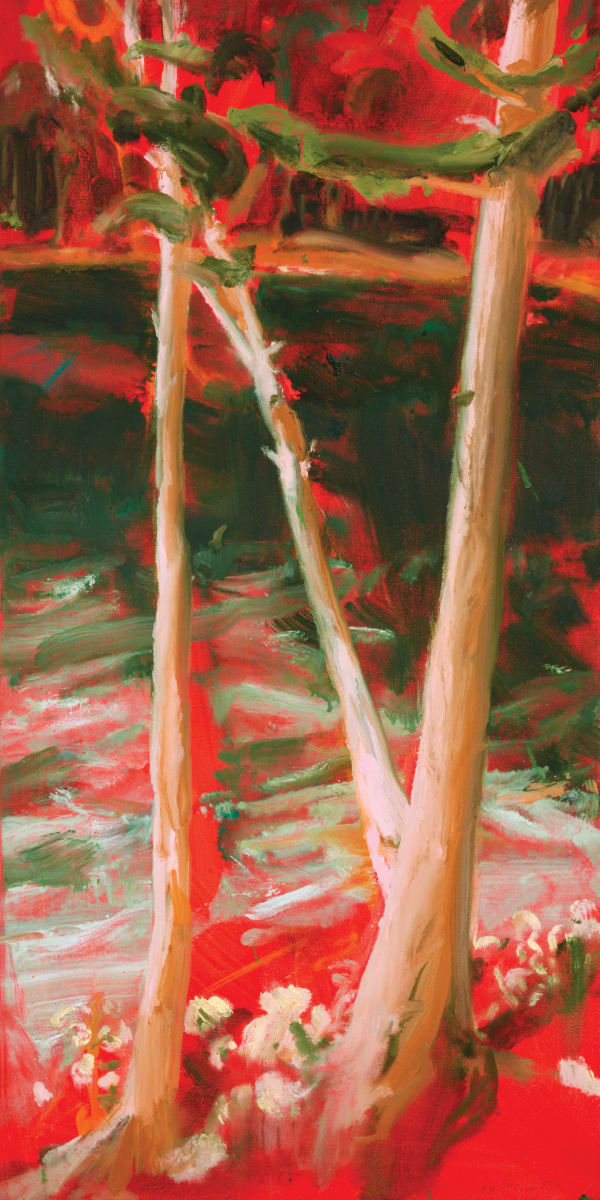 Nicole Wittenberg, The Cove, 2021