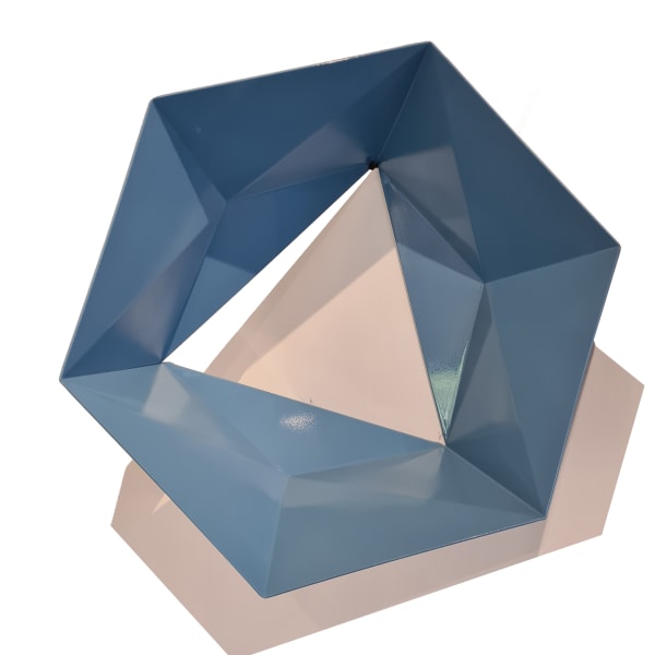 Juan Mejia, Flowers No. 1, Nopal grey & light blue , 2022