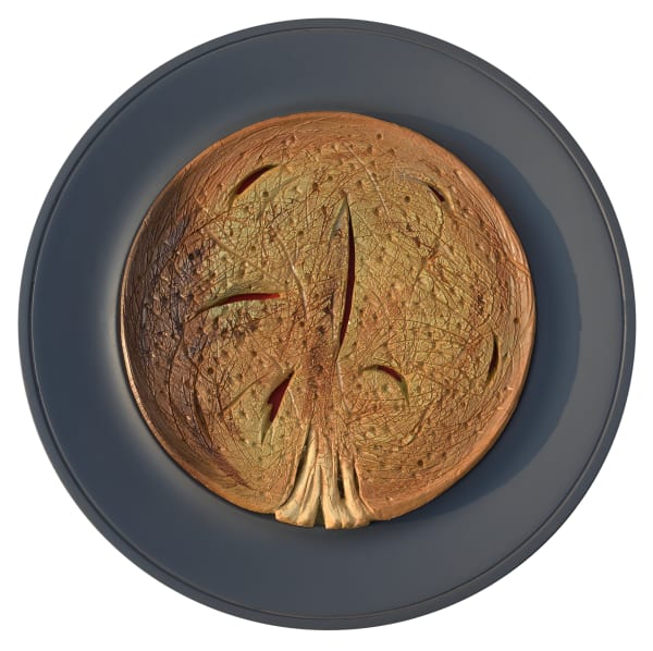 Jayanti Rabadia, Untitled