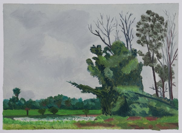 Nagajan Karavadara Gulwat lotus lake Oil on canvas 8 x 11 inches (20 x 28 cms)