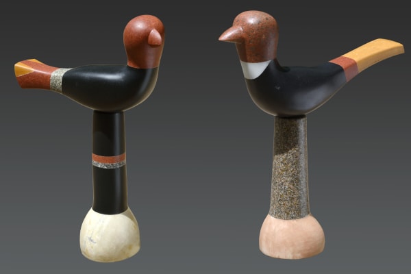 Deepak Rasaily, Birds