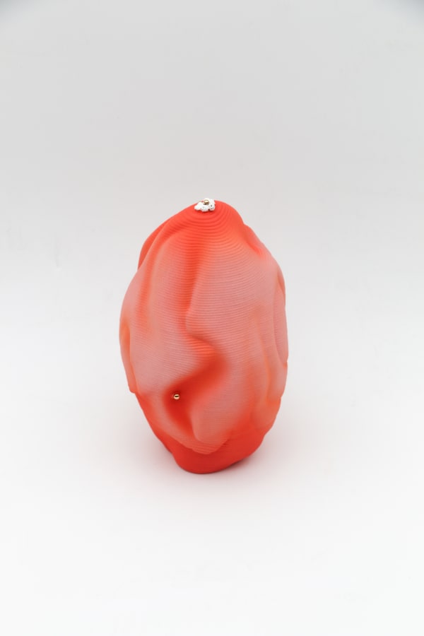 宋丹楊 Dan Yang Song, Diary 241006, 2025