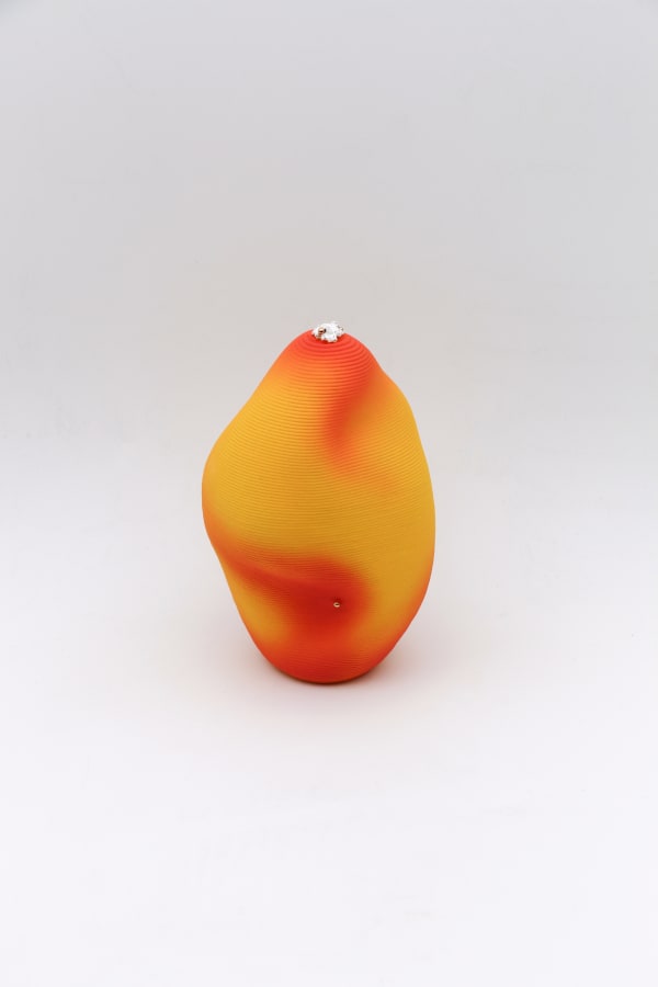 宋丹楊 Dan Yang Song, Diary 241010, 2025