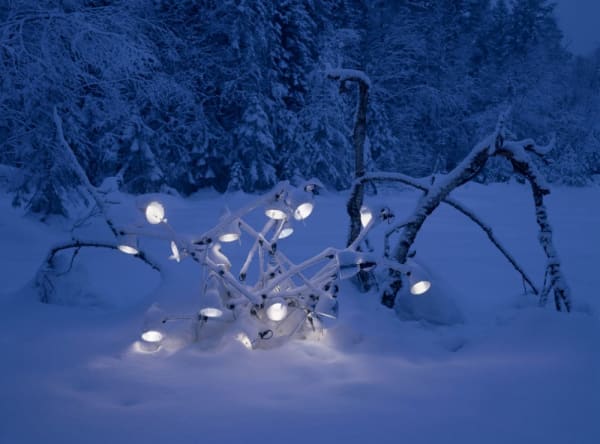 Rune Guneriussen, Extension of ineffective structures, 2014