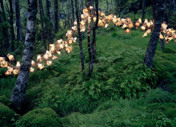 Rune Guneriussen, A grid of physical entities, 2012