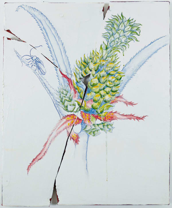 Timo Grimm, Ananas, 2022