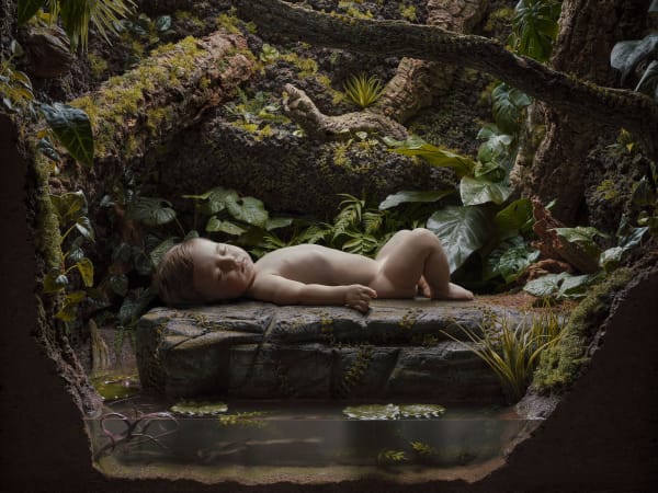 Dirk Hardy, Vivarium, Episode 13, Echo Down the Passage (part 2), 2024