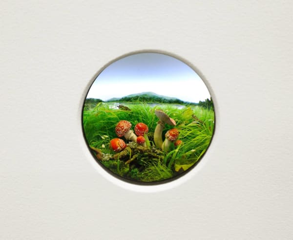 Patrick Jacobs, Fly agaric #5