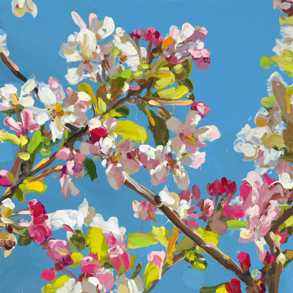 Jan de Vliegher, Blossom 48, 2022