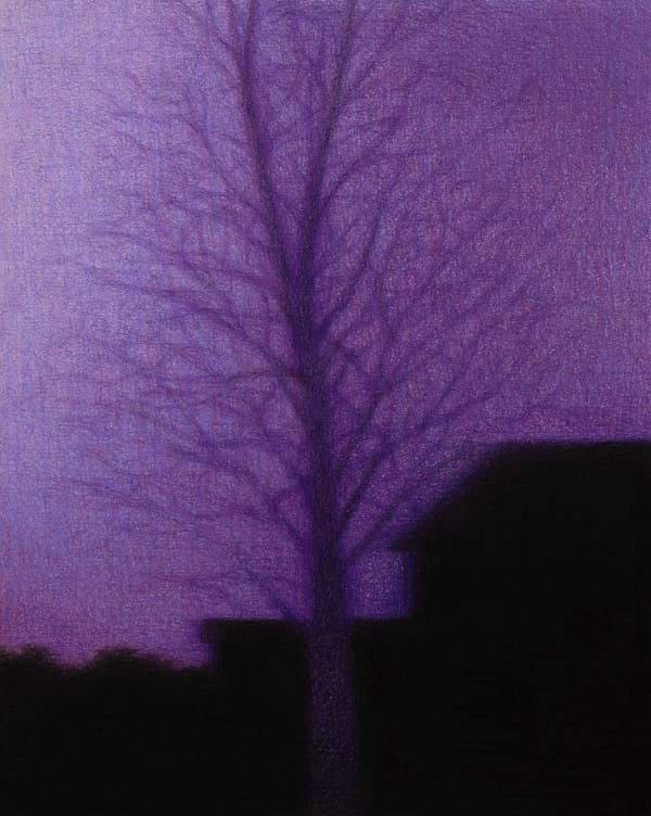 Steffen Kern, Tree, 2024