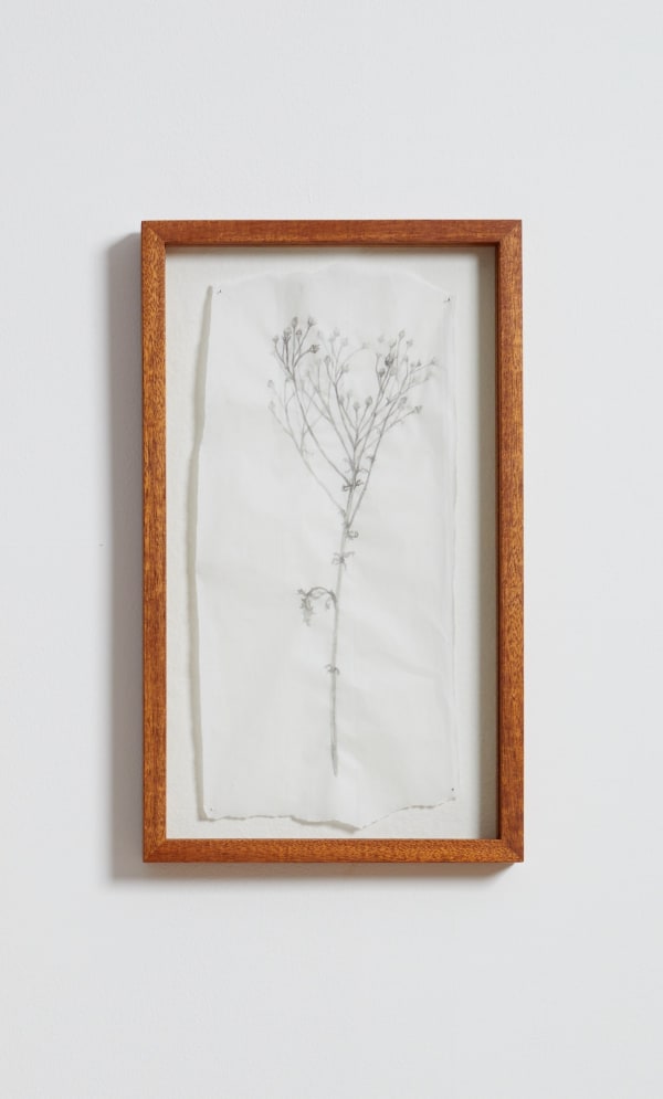 Work on Paper