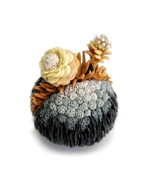 Erum Aamir, Momenta Felicia, 2024