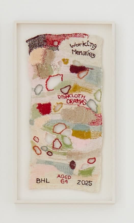 Barbara Long, Dish cloth dramas: Working memories and Memory losses. 2, 2025