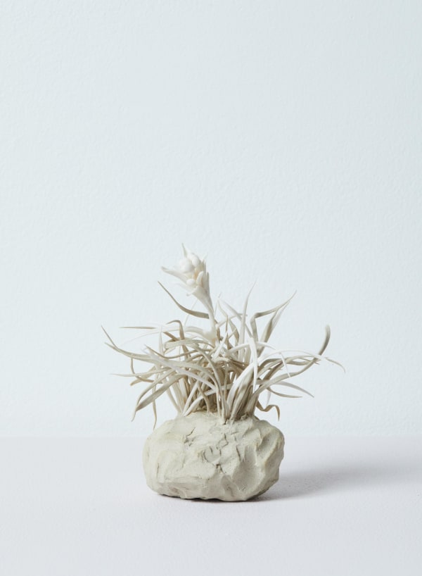 Katie Spragg, Devil’s-bit Scabious In Beusty Grasses Sketch (Scotland), 2023