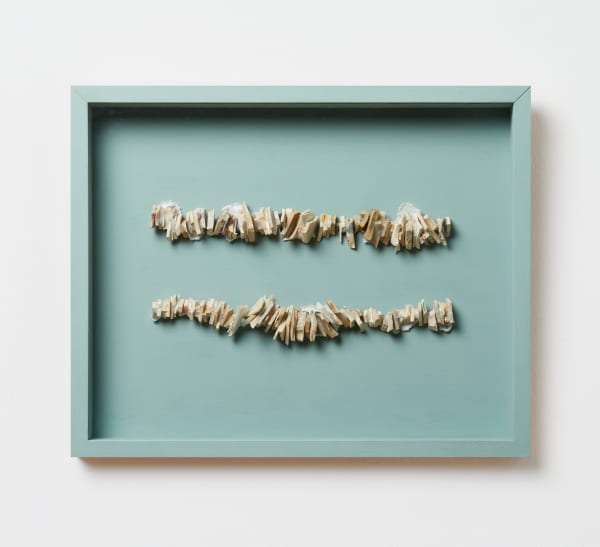 Bridget Harvey, Shard Line, 2026