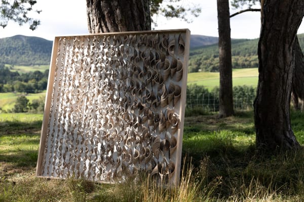 Naomi McIntosh, Yarrow, 2023