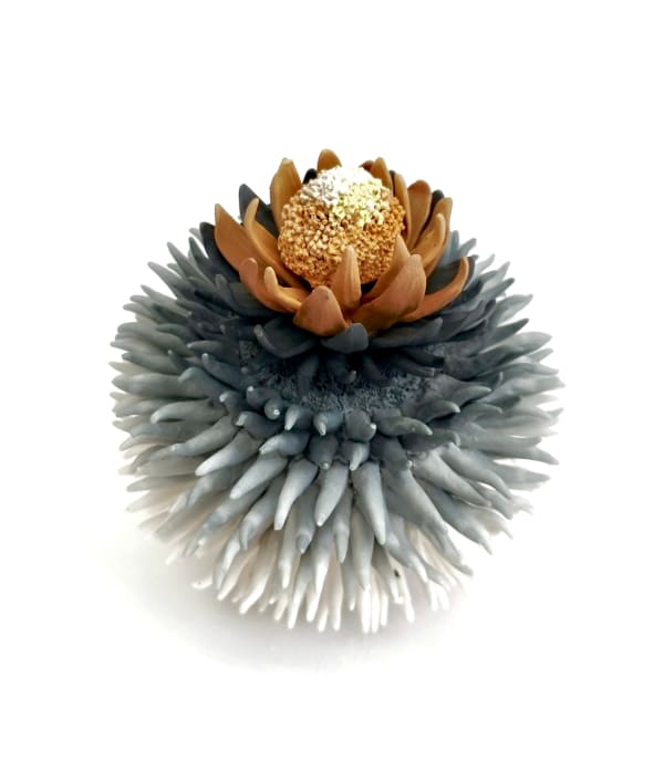 Erum Aamir, Ignosce Mihi, 2024