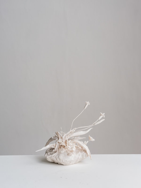 Katie Spragg, Illa Del Rei Herb Garden Sketch (Plantain and seaside Camomile), 2023